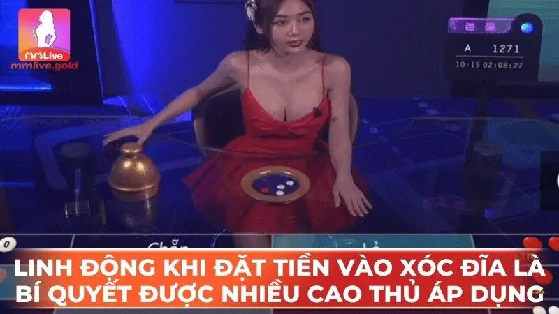 Linh động khi đặt tiền vào xóc đĩa là bí quyết được nhiều cao thủ áp dụng